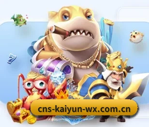 开云体育的故事 - KAIYUN